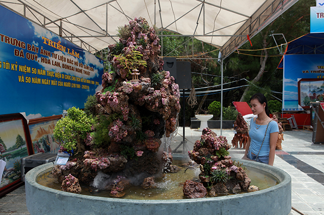 Tích góp đá quý nhiều năm rồi làm hòn non bộ khổng lồ, rao bán 2 tỷ đồng-1