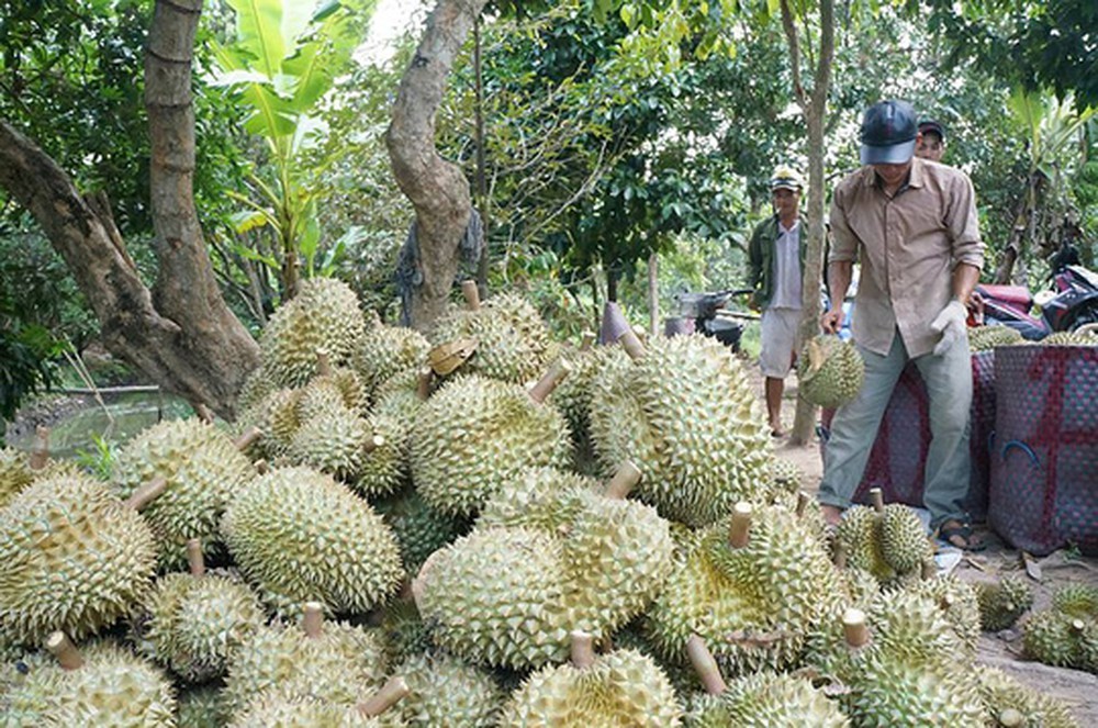 Dựng rào cửa chính, chặn cứng lối nhỏ, tắc đường sang Trung Quốc-1