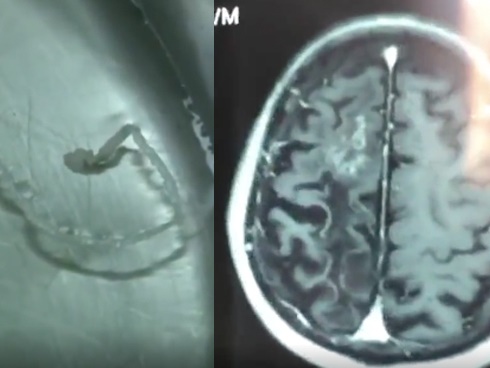 Nhiều loại rau ngon miệng không ngờ lại chứa sát thủ giết người-4