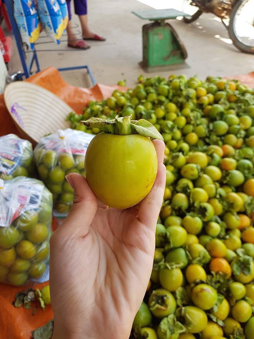 Hồng giòn đầu mùa giá rẻ và cách chọn hồng chuẩn ‘made in Việt Nam’-3
