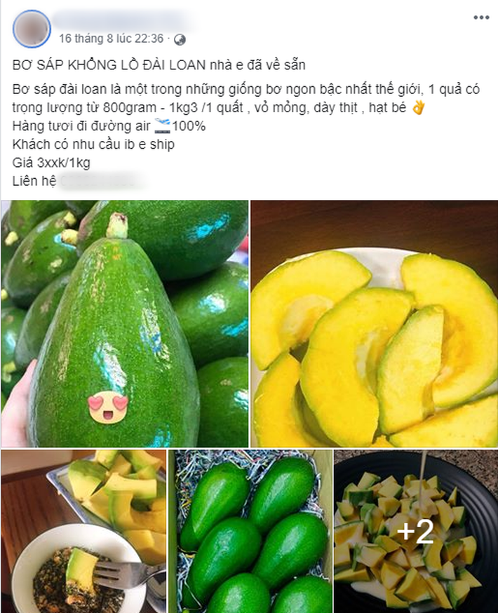 Bơ Đài Loan siêu to khổng lồ 1 quả nặng 1kg giá 400 nghìn đồng vẫn cháy hàng-4