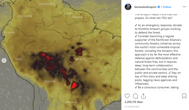 Kêu gọi sự quan tâm về cháy rừng Amazon nhưng bị Lindsay Lohan hỏi khó, Leonardo DiCaprio đáp trả ngay bằng bài viết 2 triệu like-2