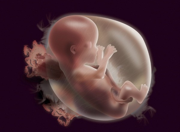 Hàng loạt vấn đề sức khỏe xảy ra khi cơ thể thiếu vitamin K, điều số 3 con gái sẽ không hề thích-5