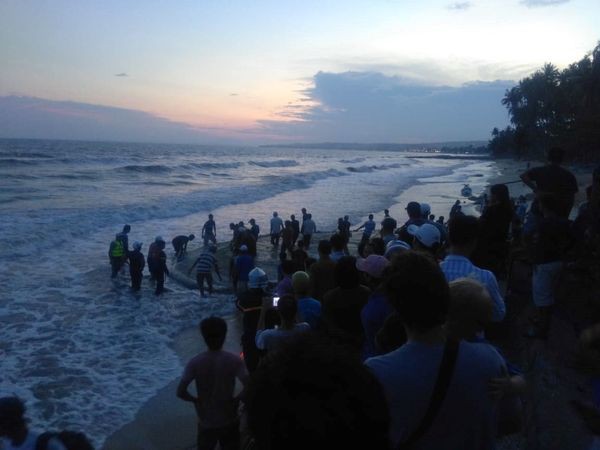 Nữ sinh đau đớn chứng kiến nhóm bạn bị sóng cuốn mất tích ở Mũi Né: Nếu có lực lượng cứu hộ kịp thời thì các bạn em đã không chết-3