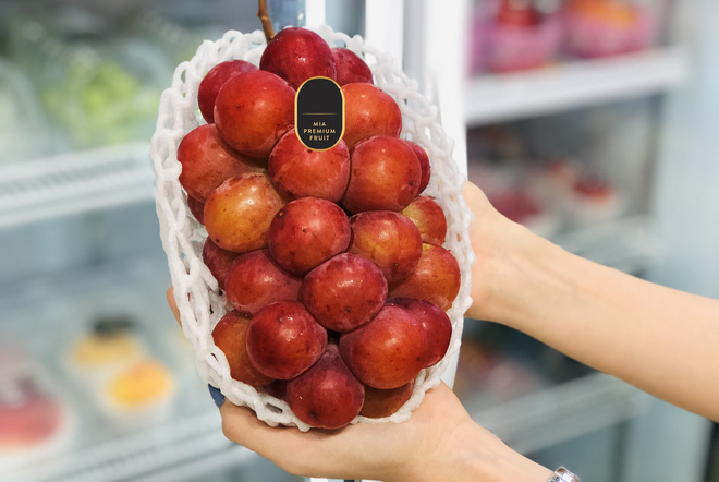 4 loại nho siêu sang khiến nhà giàu Việt thích mê hội tụ ở Hà Nội-4