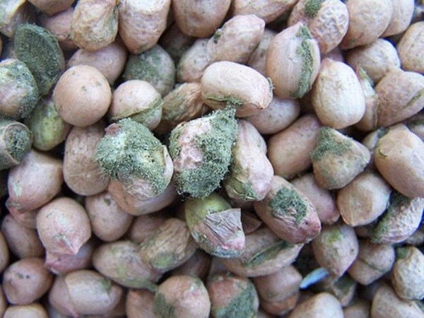 Vợ chết, chồng nguy kịch vì tiếc nên cố ăn cho hết món ăn yêu thích dù đã thấy có dấu hiệu hỏng-3