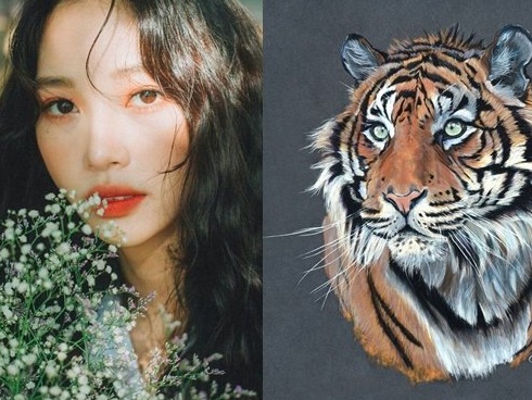 Vừa hết tháng cô hồn 3 con giáp này đã đổi vận chóng mặt, tiền đổ về như nước, giàu sang sáng chói-4