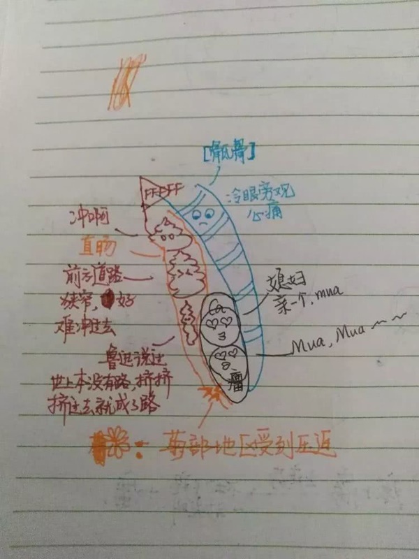 Nữ y tá 25 tuổi chết vì ung thư, hành động cuối khiến mọi người phải cúi đầu-2