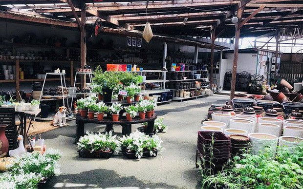 Kể về đứa con 7 tuổi vẫn nhõng nhẽo, chưa tự giác, ông chủ người Việt làm một việc này khiến nhân viên Nhật bất ngờ và cảm kích-1
