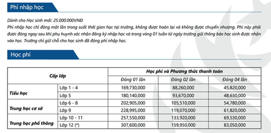 Hàng loạt trường ở TPHCM tự gắn mác Quốc tế, thu học phí khủng tận 380 triệu đồng/năm-3