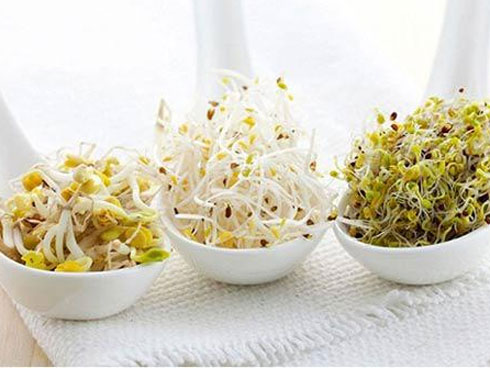 Không được ăn giá đỗ sống ngay cả khi tự tay làm vì có thể khiến cơ thể nhiễm loại vi khuẩn kháng tất cả kháng sinh: Chuyên gia nói gì về điều này?-5