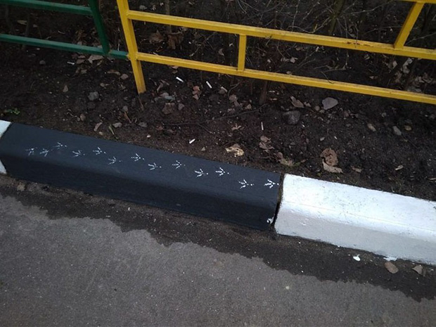 Bật cười trước những khoảnh khắc ngẫu hứng đầy thú vị của loài chim-1