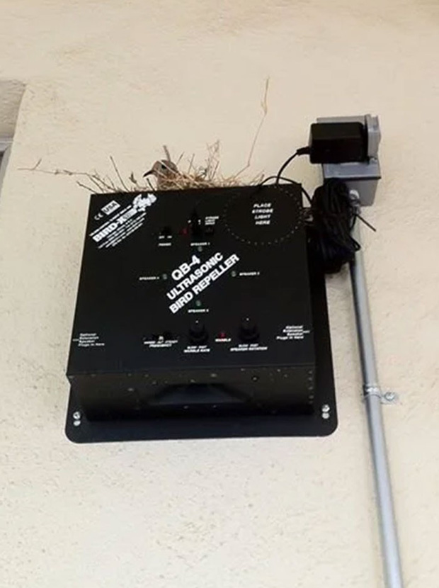 Bật cười trước những khoảnh khắc ngẫu hứng đầy thú vị của loài chim-2