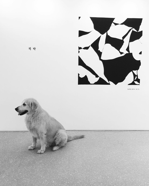 Cuối cùng Goo Hye Sun đã xuất hiện sau vụ ly hôn chấn động, biểu cảm cùng dòng trạng thái gây chú ý lớn-3