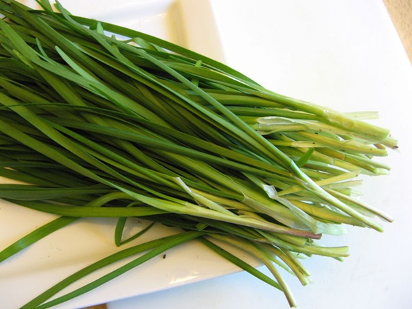 Cây thuốc chữa ho nhà nào cũng có-3