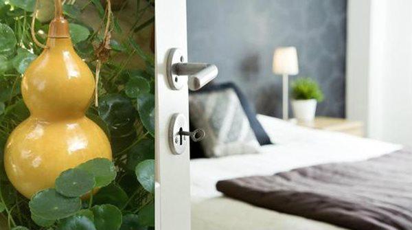 Đặt thứ này trong phòng ngủ, vợ chồng yêu thương nhau hết mực-1