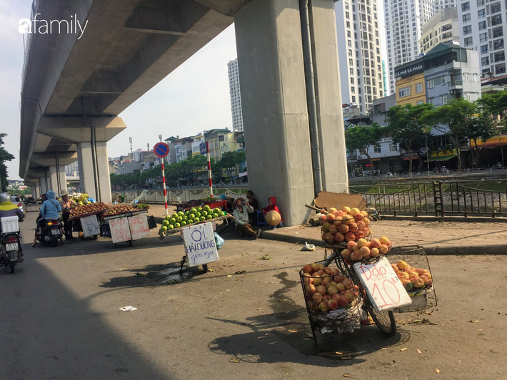 Đào Sapa to mọng giá 20.000 đồng/1 kg bán đầy đường nhưng nguồn gốc xuất xứ còn bỏ ngỏ-1