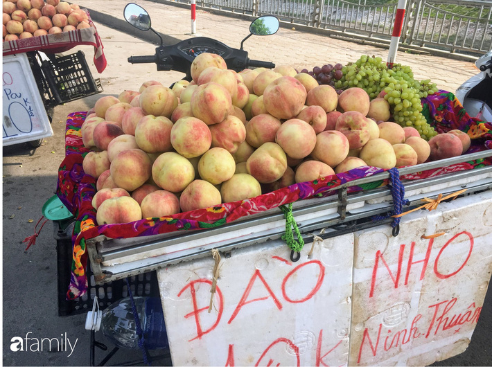 Đào Sapa to mọng giá 20.000 đồng/1 kg bán đầy đường nhưng nguồn gốc xuất xứ còn bỏ ngỏ-3