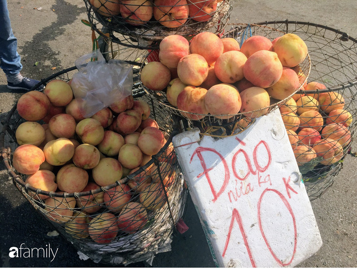 Đào Sapa to mọng giá 20.000 đồng/1 kg bán đầy đường nhưng nguồn gốc xuất xứ còn bỏ ngỏ-5