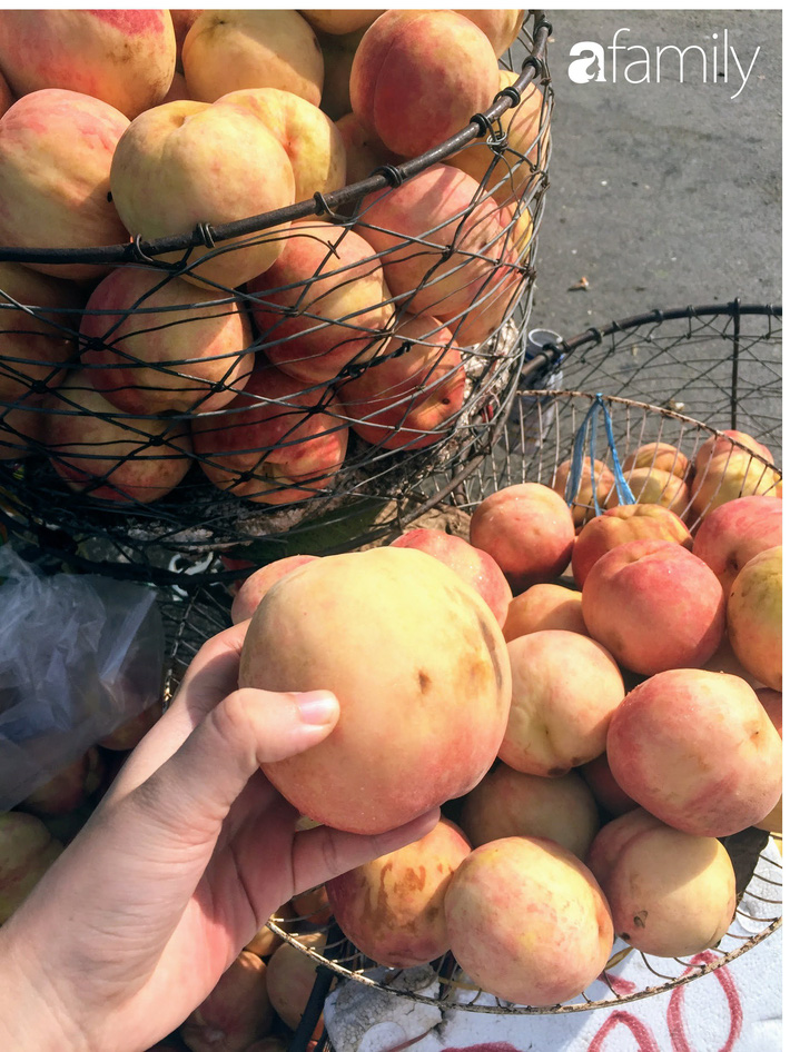 Đào Sapa to mọng giá 20.000 đồng/1 kg bán đầy đường nhưng nguồn gốc xuất xứ còn bỏ ngỏ-6