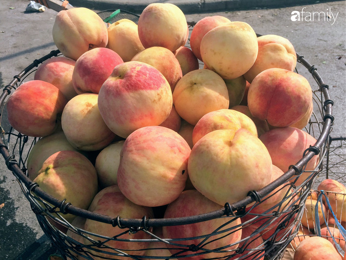 Đào Sapa to mọng giá 20.000 đồng/1 kg bán đầy đường nhưng nguồn gốc xuất xứ còn bỏ ngỏ-7