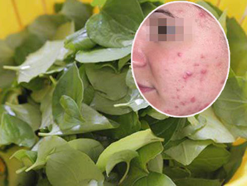 Loại rau tanh ngòm, mọc khắp vườn, trước dùng cho lợn ăn, mang sang Trung Quốc quý như vàng-8