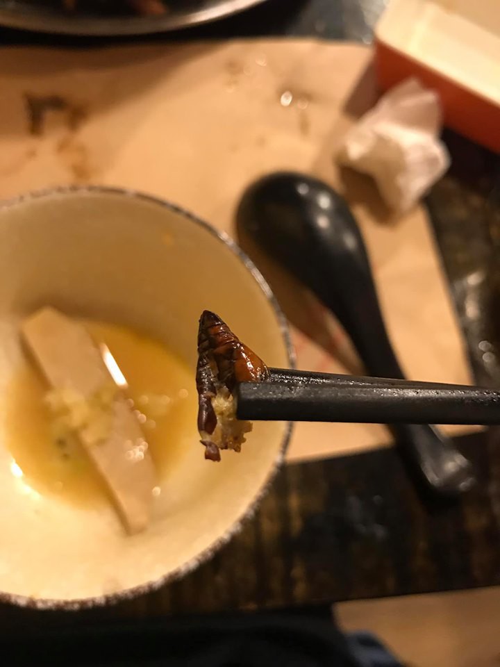 Cắn phải con gián béo ngậy trong nồi lẩu ở nhà hàng Nhật, cô gái hãi hùng đăng đàn nhưng dân mạng có thái độ bất ngờ-2