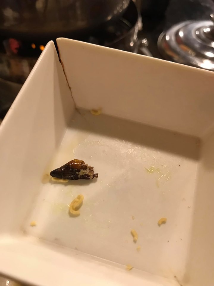 Cắn phải con gián béo ngậy trong nồi lẩu ở nhà hàng Nhật, cô gái hãi hùng đăng đàn nhưng dân mạng có thái độ bất ngờ-3