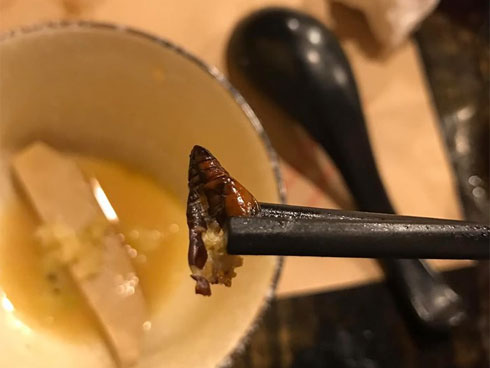 Cô nàng tá hỏa khi thấy chuột chết trong chai dầu ăn, ngờ đâu dân mạng chẳng thương xót mà chỉ thắc mắc điều lạ lùng-3