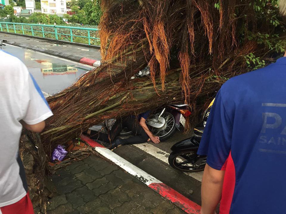 Bão số 4 đang di chuyển vào đất liền, Hà Nội mưa gió khủng khiếp, đã có 1 người chết do cây xanh đè trúng-5