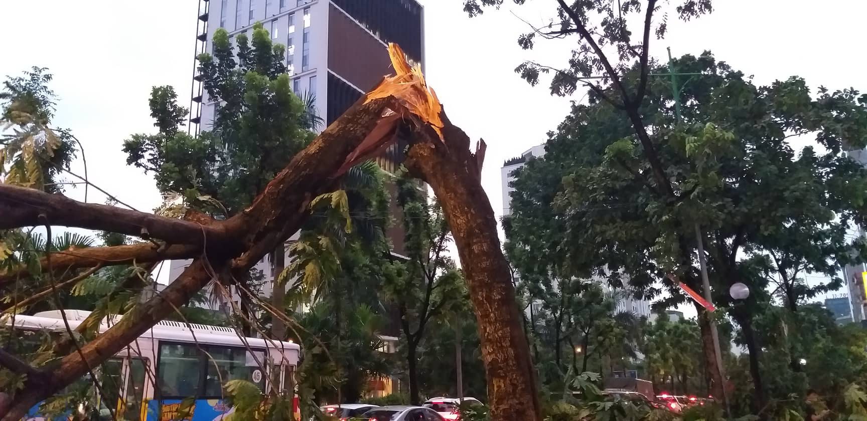 Bão số 4 đang di chuyển vào đất liền, Hà Nội mưa gió khủng khiếp, đã có 1 người chết do cây xanh đè trúng-7