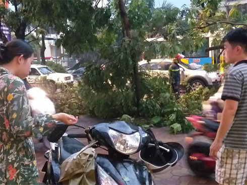 Xót xa cảnh người thân gào khóc thảm thiết tại hiện trường nam thanh niên tử vong vì cây đổ ở Hà Nội-9