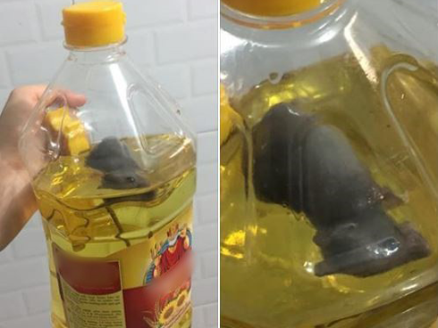 Xuất hiện đề kiểm tra cách sử dụng ngôn ngữ của giới trẻ: Học sinh than trời tiếng Việt mà cứ ngỡ tiếng nước ngoài!-2