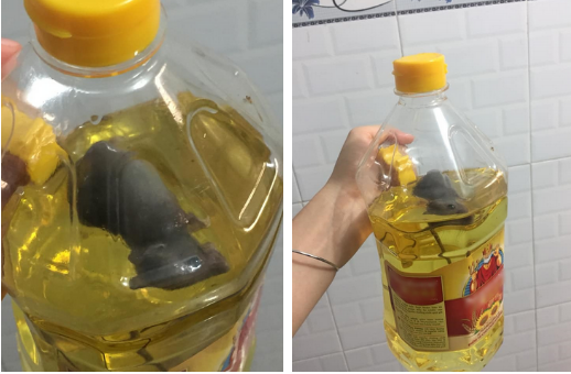 Cô nàng tá hỏa khi thấy chuột chết trong chai dầu ăn, ngờ đâu dân mạng chẳng thương xót mà chỉ thắc mắc điều lạ lùng-2