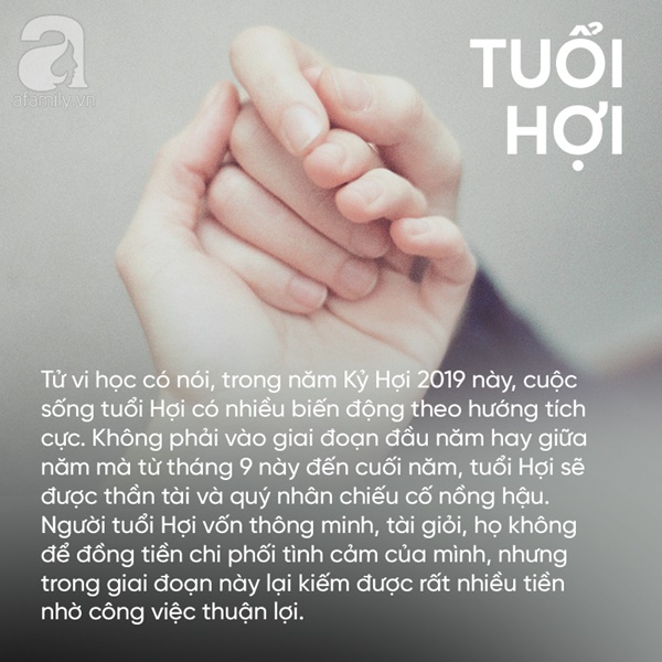 Từ giờ đến cuối năm, 3 con giáp này đại hỷ đại tài, công việc thuận lợi kéo theo tiền bạc dư dả, không muốn giàu cũng khó-1