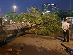 Hà Nội: Trời đổ mưa giông bất ngờ khiến cây cối ngã nằm la liệt trên đường sau buổi sáng nắng gay gắt-9
