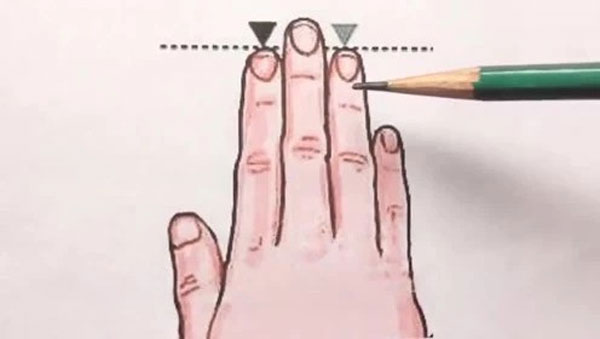 So sánh độ dài của ngón trỏ và ngón đeo nhẫn trên bàn tay phụ nữ sẽ biết được cuộc sống tương lai sướng khổ thế nào-1