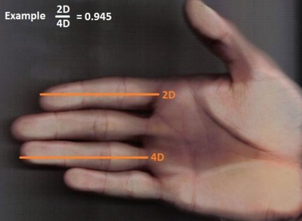 So sánh độ dài của ngón trỏ và ngón đeo nhẫn trên bàn tay phụ nữ sẽ biết được cuộc sống tương lai sướng khổ thế nào-3