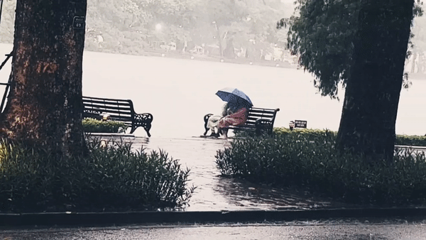 Cặp đôi nắm tay nhau dưới mưa không rời suốt 1 tiếng đồng hồ và phản ứng hài hước của dân mạng-1