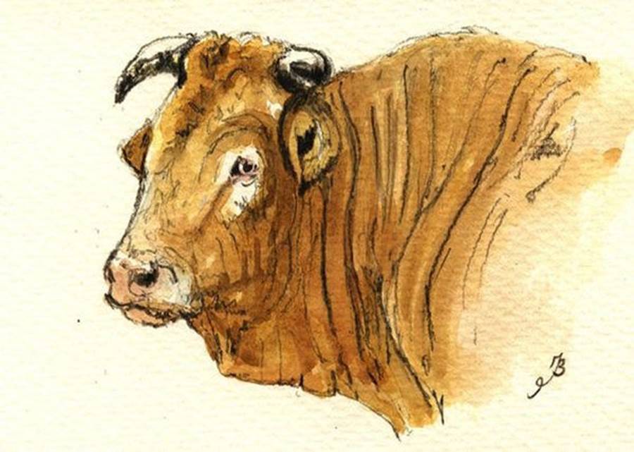 Xem tử vi tháng 9/2019 của 12 con giáp: Mão ngồi hốt lộc, Thìn chật vật với khó khăn-1