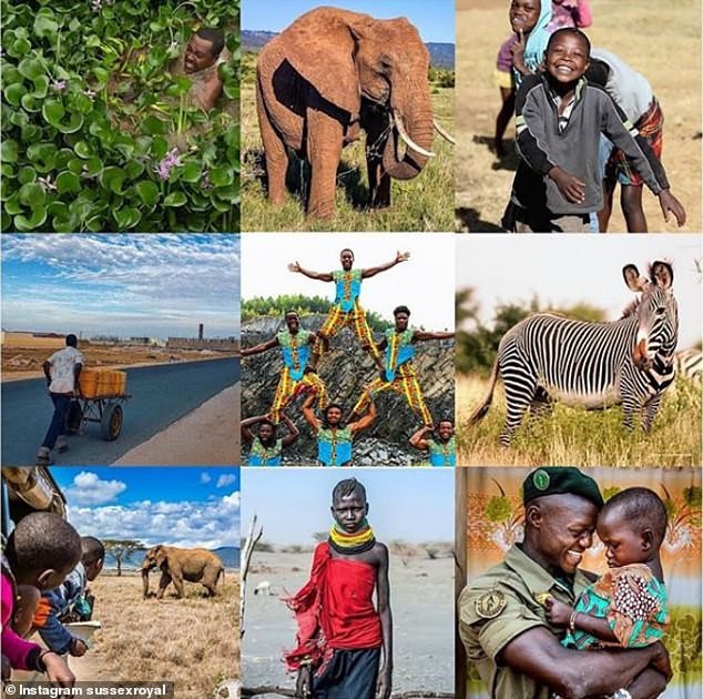 Bị cha đẻ Meghan Markle nhắc khéo chưa bao giờ được gặp mặt, Hoàng tử Harry đã có động thái mới nhất-2