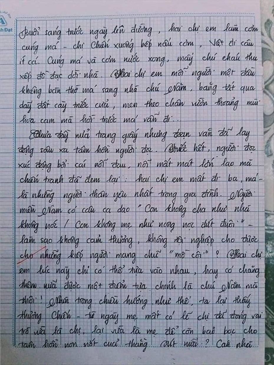 Nam sinh gây sốt với bài văn dài 18 trang, cô giáo đọc xong không biết phải phê gì vì quá xuất sắc!-5