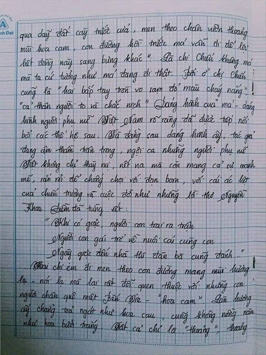 Nam sinh gây sốt với bài văn dài 18 trang, cô giáo đọc xong không biết phải phê gì vì quá xuất sắc!-11