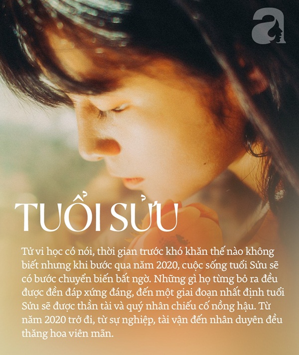 Đừng xem thường 3 con giáp này, trời định số mệnh ngọa hổ tàng long, sức mạnh tiềm ẩn không so được, năm 2020 giàu có thịnh vượng vượt trội-2