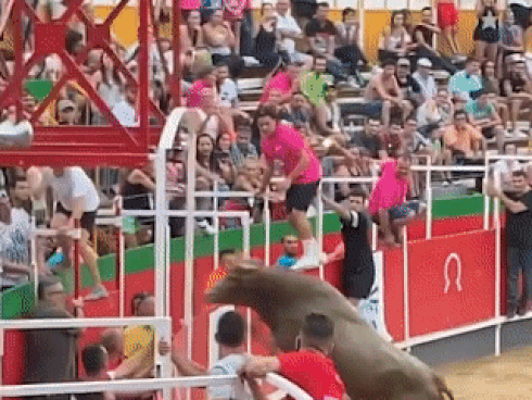 Người phụ nữ giả chết để tránh bị bò rừng tấn công ở Mỹ-1