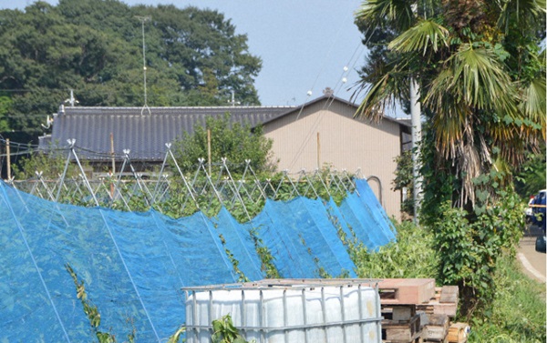 Một người Việt 21 tuổi bị bắt giữ vì đâm hai vợ chồng cụ già khiến một người tử vong ở Nhật Bản-2