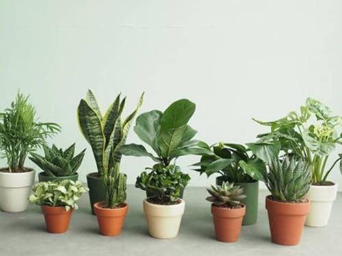 Những lỗi phong thủy đuổi” Thần Tài ra khỏi ngõ, làm ăn thất bại, quanh năm nợ nần-1