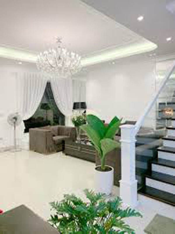 Quang Hà làm gì để có tài sản khủng: 13 căn nhà, biệt thự 20 tỷ, lại sắp xây chung cư 10 tầng-10