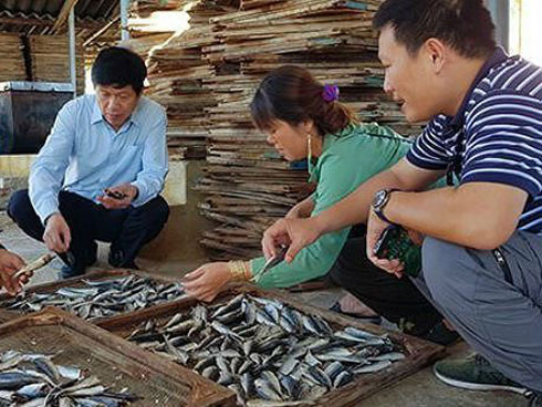 Trung Quốc không mua: Dưa hấu, thanh long rớt thảm, dân thua lỗ-2