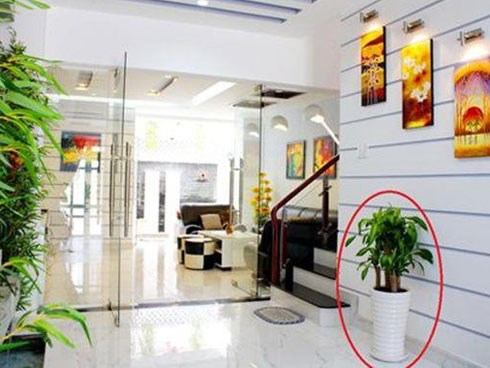 Nhìn điểm này đoán ngay nhà có phong thủy tốt, ngồi không rung đùi cũng ra tiền